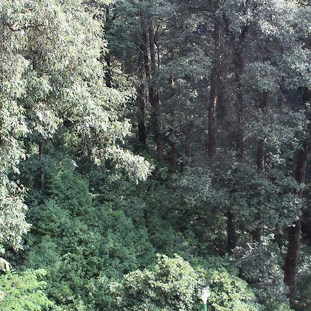 Hotel Wildrose Dalhousie Luaran gambar